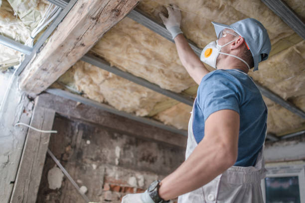 Best Commercial Insulation in Lake Havasu City, AZ
